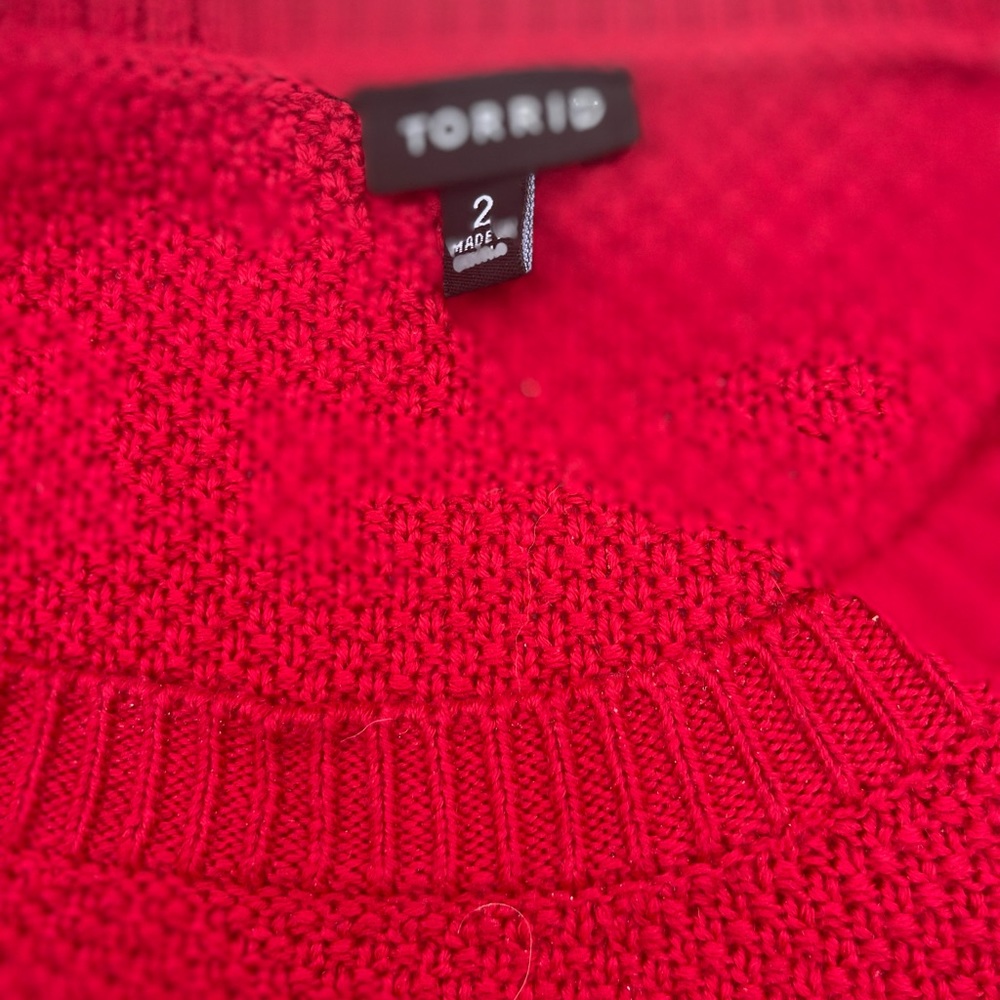 Torrid Sweater